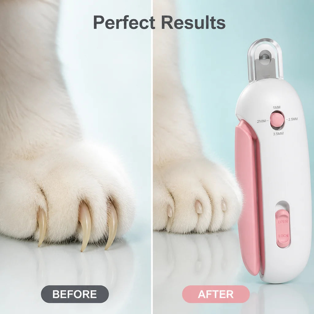 FurScribe™ — Shape a Tidy Coat With Thoughtful Precision