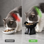 LunaLift™ — Transform Your Cat’s Mealtime into Pure Comfort and Joy