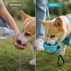 Aquapet™ — Hydrate Your Pup Instantly, Anywhere You Go