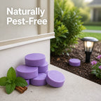 Pestavexa™ — Enjoy a Safe, Pest-Free Home Without Toxins or Traps