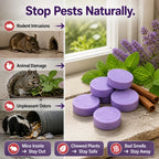 Pestavexa™ — Enjoy a Safe, Pest-Free Home Without Toxins or Traps